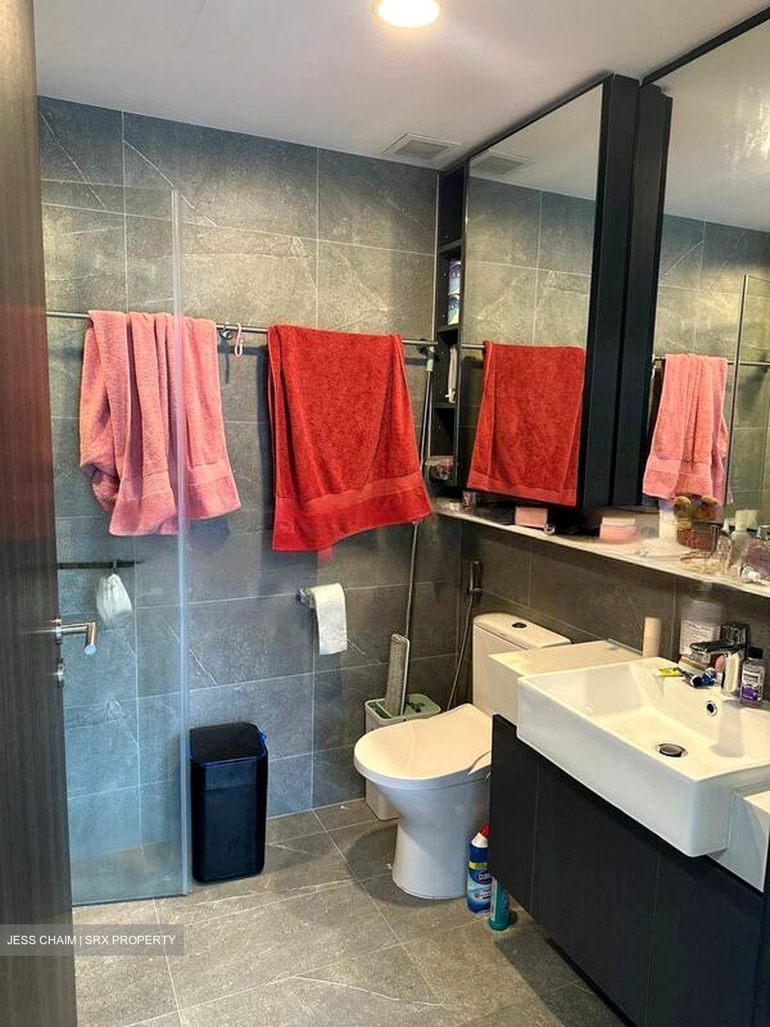 Riverfront Residences (D19), Apartment #454238361